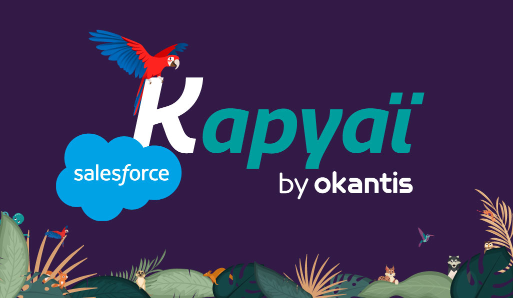 Logo Salesforce et Kapyaï nouvelle offre d'Okantis
